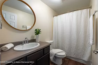 321 W Eighth Court, Carbondale, CO 81623 - Photo 20