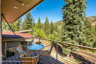768 Kings Lake Rd, Basalt, CO 81621 - Photo 32