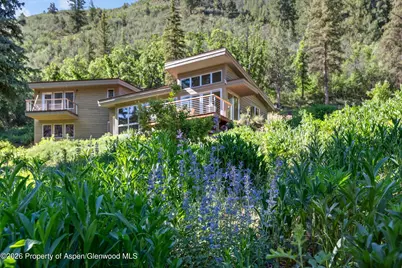 768 Kings Lake Road, Basalt, CO 81621 - Photo 4