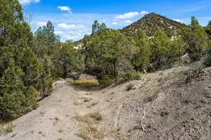 464 Silverhorn Dr, New Castle, CO 81647 - Photo 40
