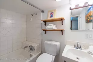 979 Queen St, Aspen, CO 81611 - Photo 20