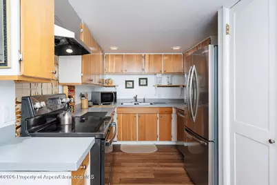 979 Queen Street, Aspen, CO 81611 - Photo 10