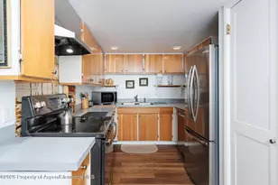 979 Queen St, Aspen, CO 81611 - Photo 10