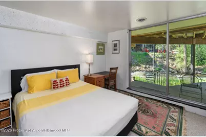 979 Queen Street, Aspen, CO 81611 - Photo 18