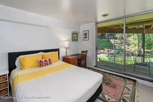 979 Queen St, Aspen, CO 81611 - Photo 18
