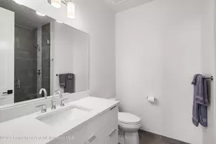 303 Golden Bear Dr, Carbondale, CO 81623 - Photo 30