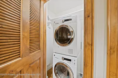 415 E Dean St., Unit 20, Week 32, Aspen, CO 81611 - Photo 24