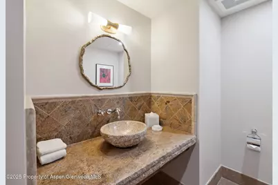 415 E Dean St., Unit 49 Week 33, Aspen, CO 81611 - Photo 12