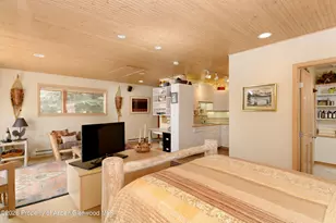 1214 Woody Creek Rd, Woody Creek, CO 81656 - Photo 28