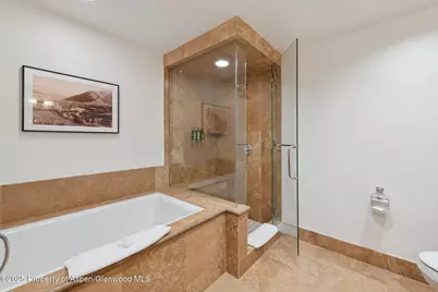 415 E Dean St., Unit 38, Week 33, Aspen, CO 81611 - Photo 22