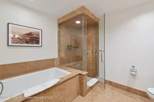 415 E Dean St Unit 38 Week 33, Aspen, CO 81611 - Photo 22
