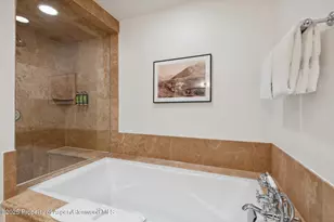 415 E Dean St Unit 38 Week 33, Aspen, CO 81611 - Photo 30