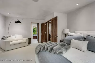 203 Eastwood Drive, Aspen, CO 81611 - Photo 16