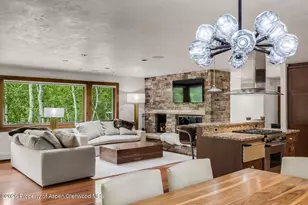 203 Eastwood Dr, Aspen, CO 81611 - Photo 6