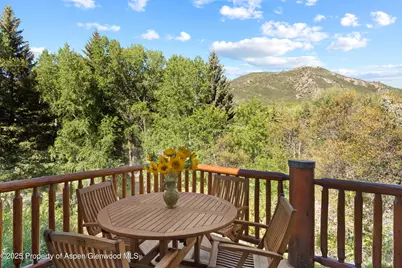 106 N Little Texas Lane, Woody Creek, CO 81656 - Photo 10