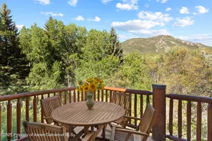 106 N Little Texas Ln, Woody Creek, CO 81656 - Photo 10