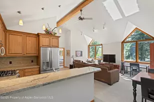 106 N Little Texas Ln, Woody Creek, CO 81656 - Photo 38