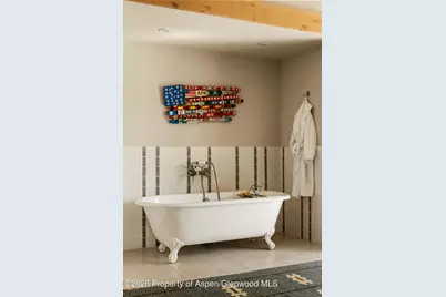 115 Meadowlark Lane, Aspen, CO 81611 - Photo 30