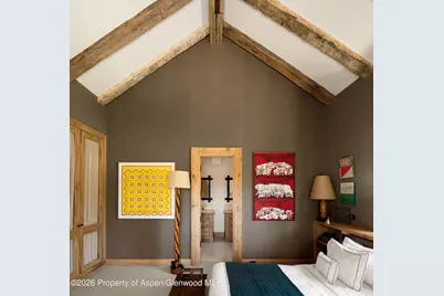 115 Meadowlark Lane, Aspen, CO 81611 - Photo 26