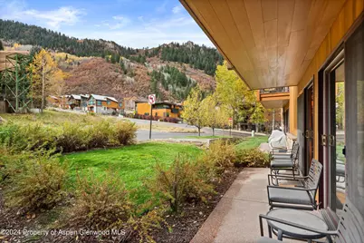 205 E Durant Avenue #1-C, Aspen, CO 81611 - Photo 10