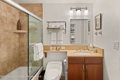 205 E Durant Avenue #1-C, Aspen, CO 81611 - Photo 8