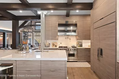 15 S Willow Court, Aspen, CO 81611 - Photo 20
