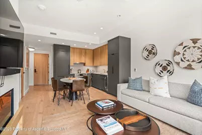 119 Wood Road #407, Snowmass Village, CO 81615 - Photo 4