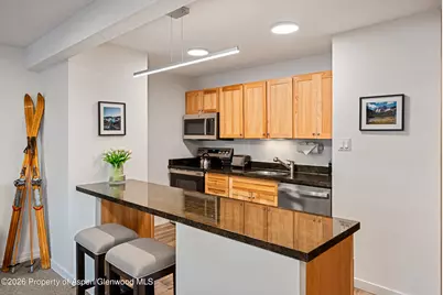 131 E Durant Avenue #104, Aspen, CO 81611 - Photo 4