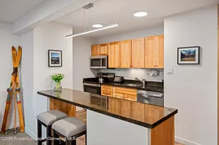 131 E Durant Ave, Aspen, CO 81611 - Photo 4