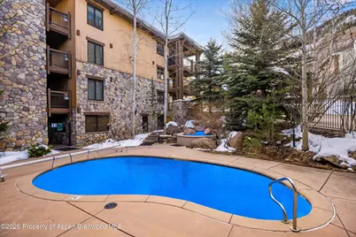 131 E Durant Avenue #104, Aspen, CO 81611 - Photo 10