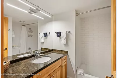 131 E Durant Avenue #104, Aspen, CO 81611 - Photo 8