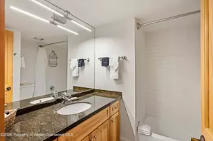 131 E Durant Ave, Aspen, CO 81611 - Photo 8
