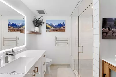 910 W Hallam Street #9, Aspen, CO 81611 - Photo 20