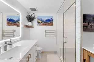 910 W Hallam St, Aspen, CO 81611 - Photo 20