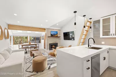 910 W Hallam Street #9, Aspen, CO 81611 - Photo 12