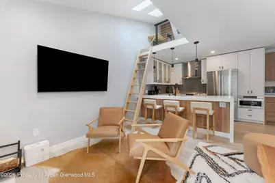 910 W Hallam Street #9, Aspen, CO 81611 - Photo 8