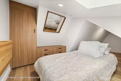 910 W Hallam Street #9, Aspen, CO 81611 - Photo 18