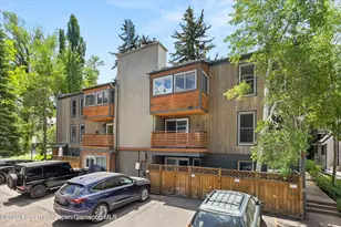 910 W Hallam St, Aspen, CO 81611 - Photo 24
