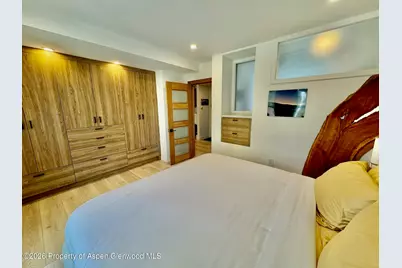 910 W Hallam Street #9, Aspen, CO 81611 - Photo 16
