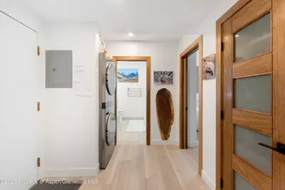 910 W Hallam Street #9, Aspen, CO 81611 - Photo 22