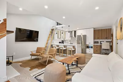 910 W Hallam Street #9, Aspen, CO 81611 - Photo 4