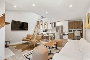 910 W Hallam St, Aspen, CO 81611 - Photo 4