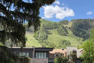600 E Main St, Aspen, CO 81611 - Photo 14