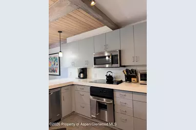 600 E Main Street #406, Aspen, CO 81611 - Photo 8