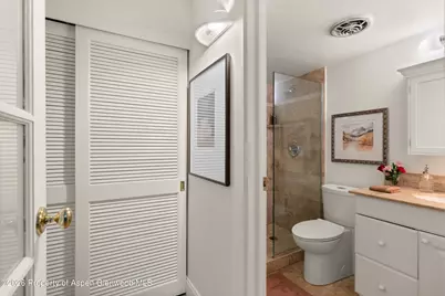 412 Vine Street, Aspen, CO 81611 - Photo 18