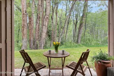 412 Vine Street, Aspen, CO 81611 - Photo 4
