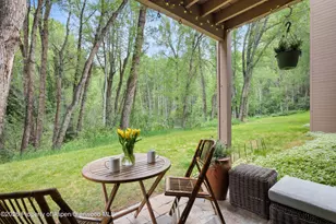 412 Vine St, Aspen, CO 81611 - Photo 20