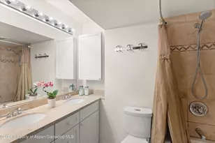 412 Vine St, Aspen, CO 81611 - Photo 14