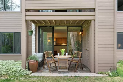 412 Vine Street, Aspen, CO 81611 - Photo 22