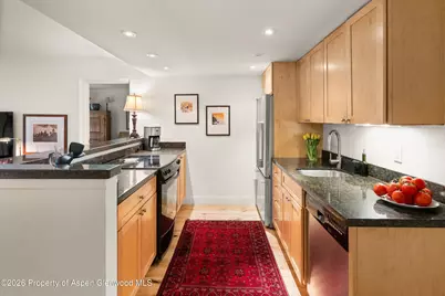 412 Vine Street, Aspen, CO 81611 - Photo 8